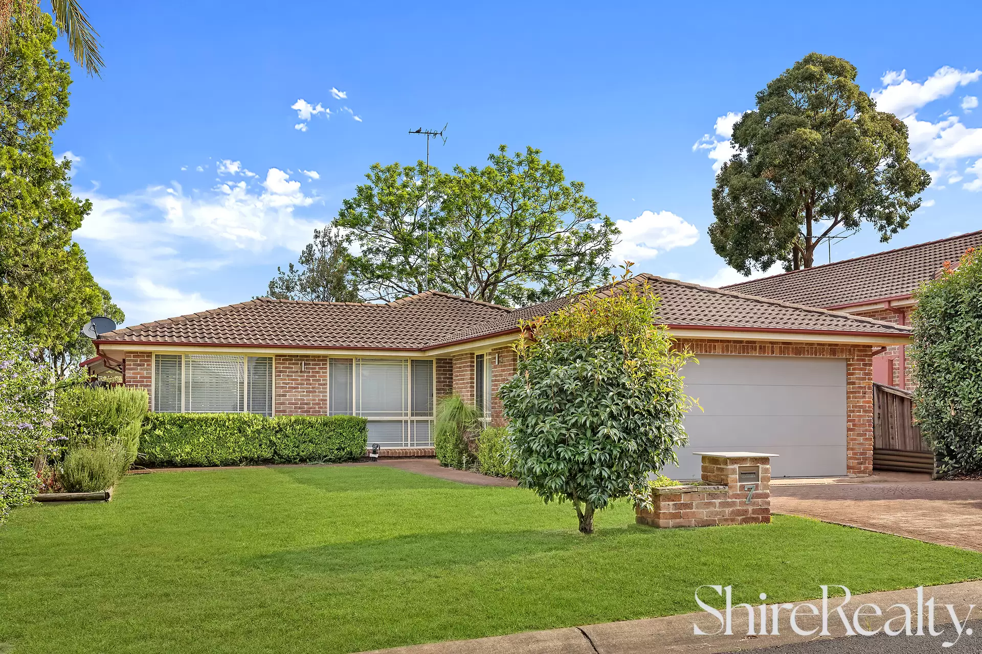 Stanhope Gardens Leased by Shire Realty - image 1